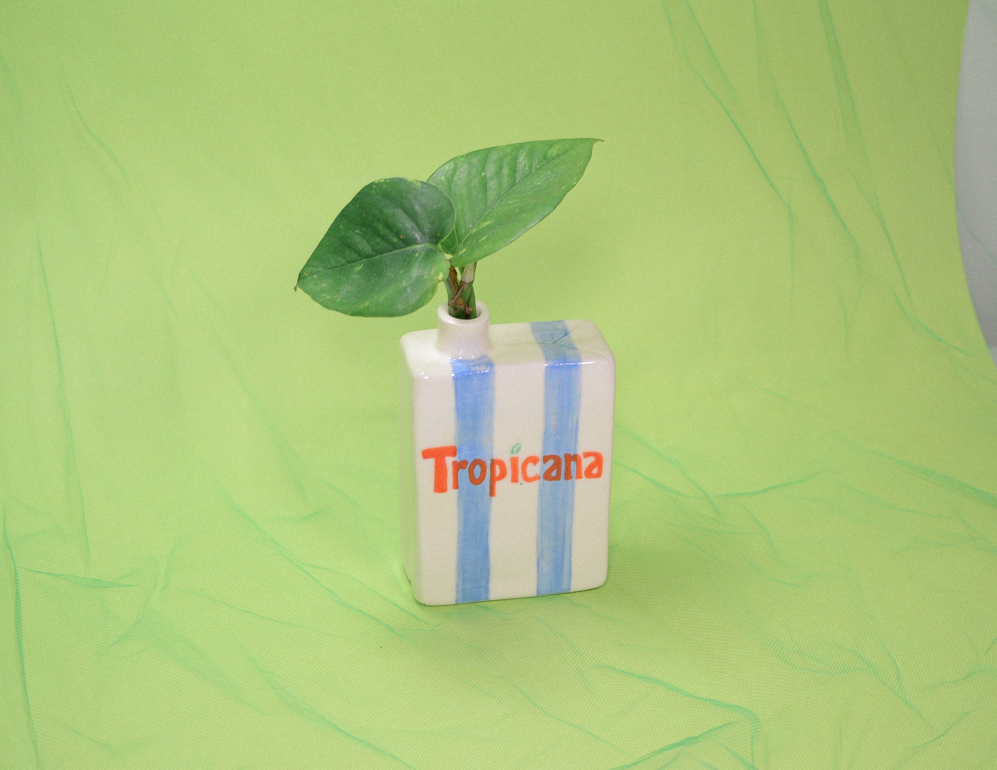 Tropicana Juice Box Vase
