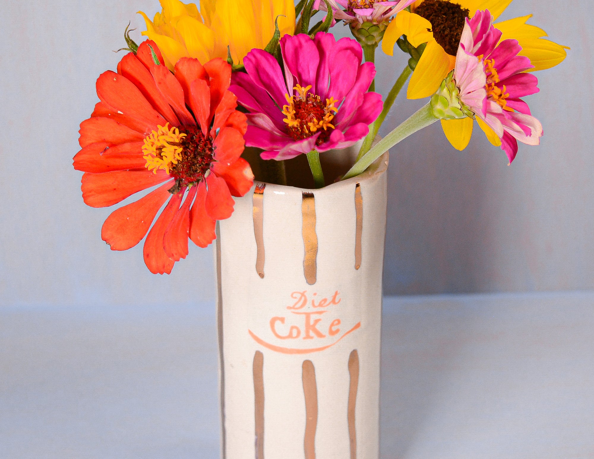 Sasha's Diet Coke Vase