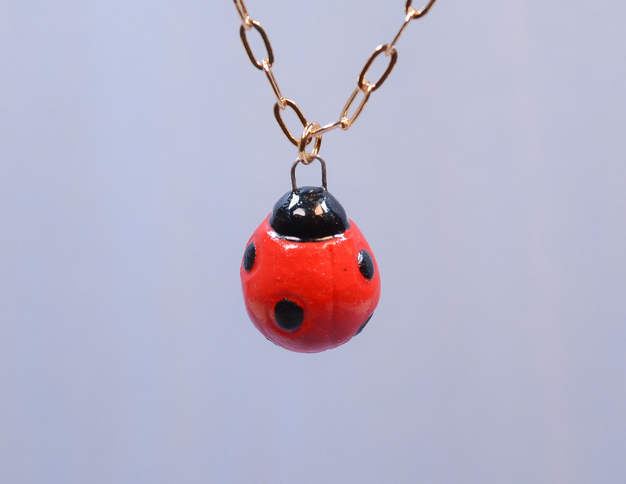 Ladybug Charm