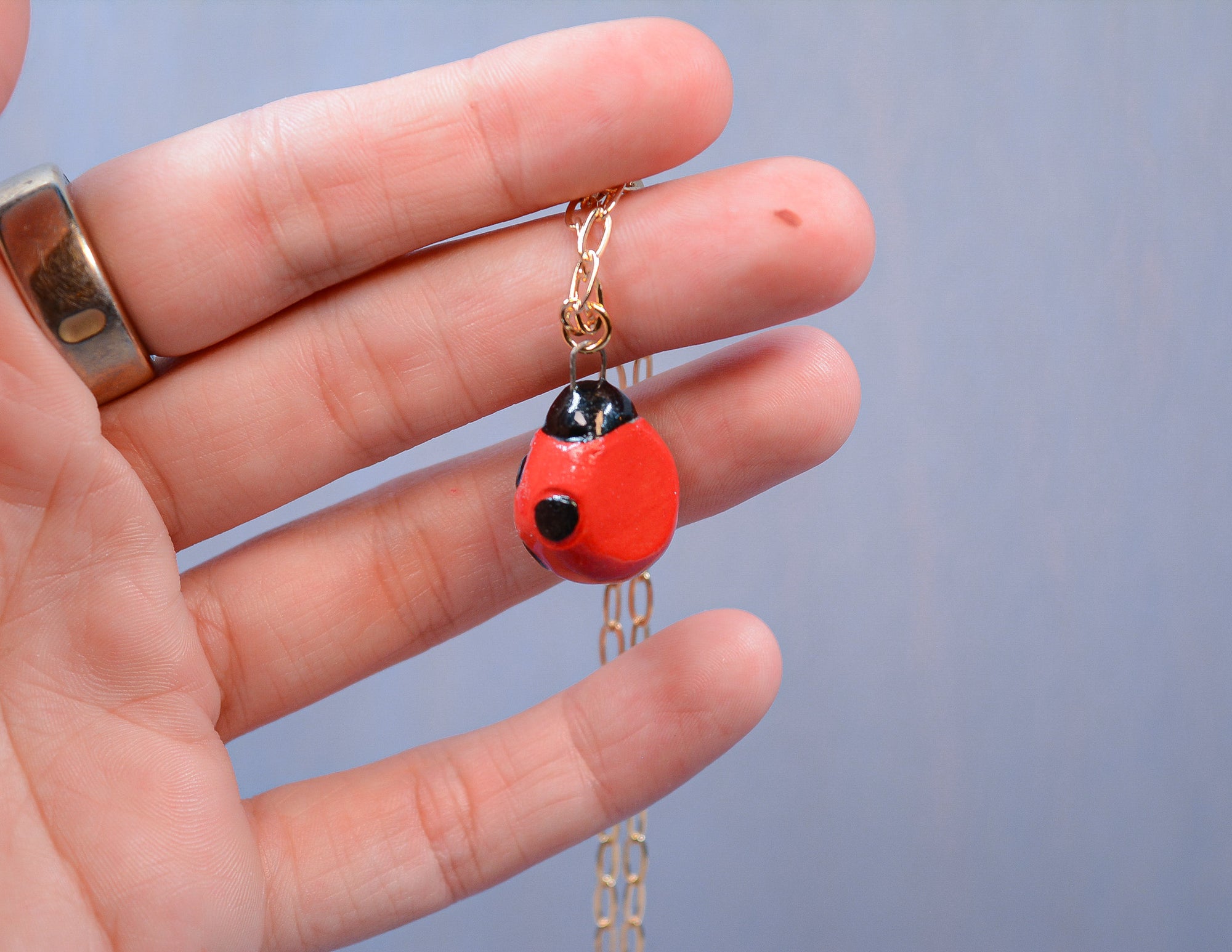 Ladybug Necklace