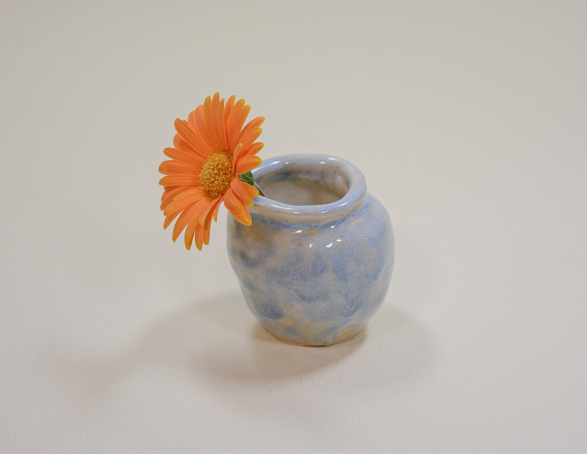 ⋆ Mystery Bud Vase! ⋆