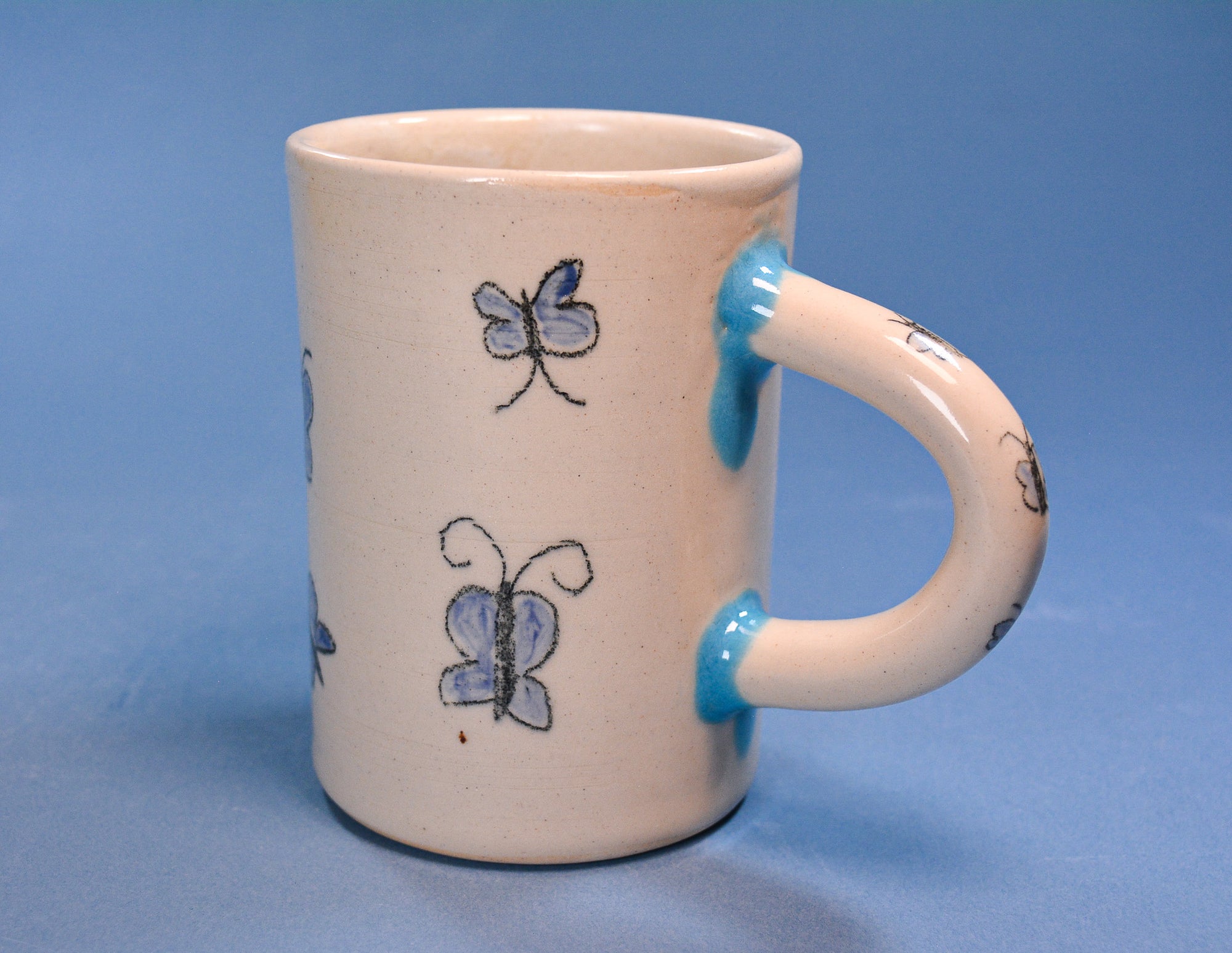 The Picnic Of a Lifetime Mug