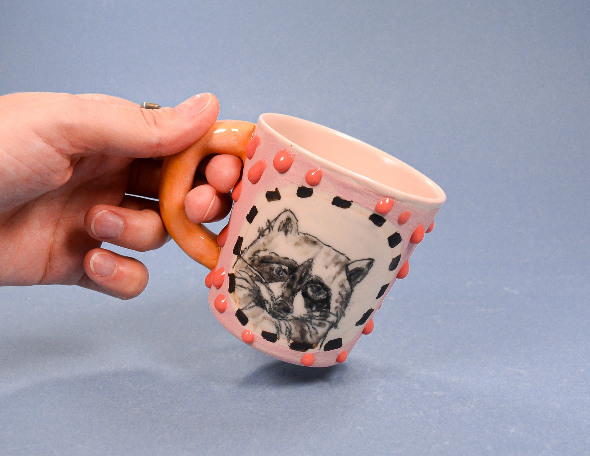 The Friendly Racoon Cup