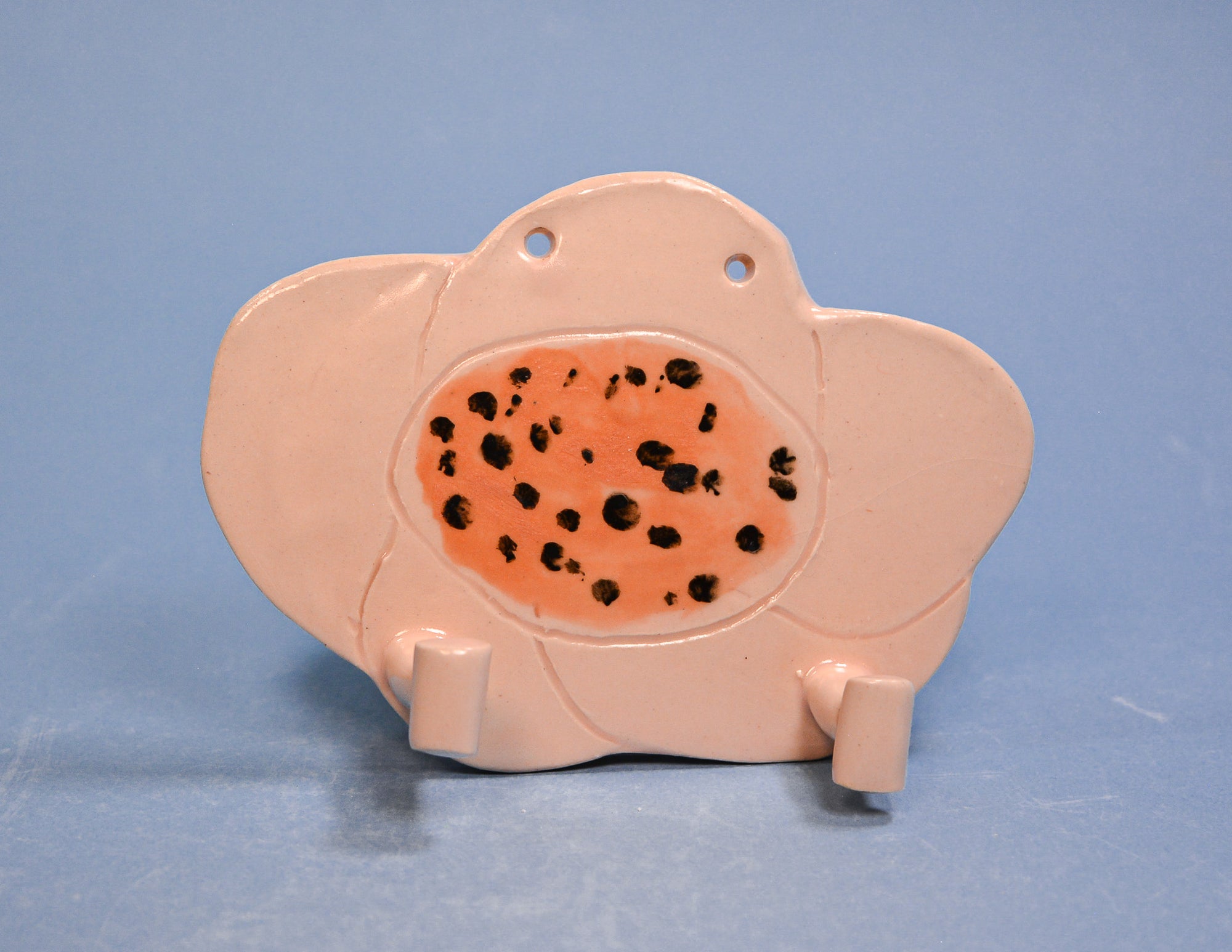 Peach Daisy Wall Hook