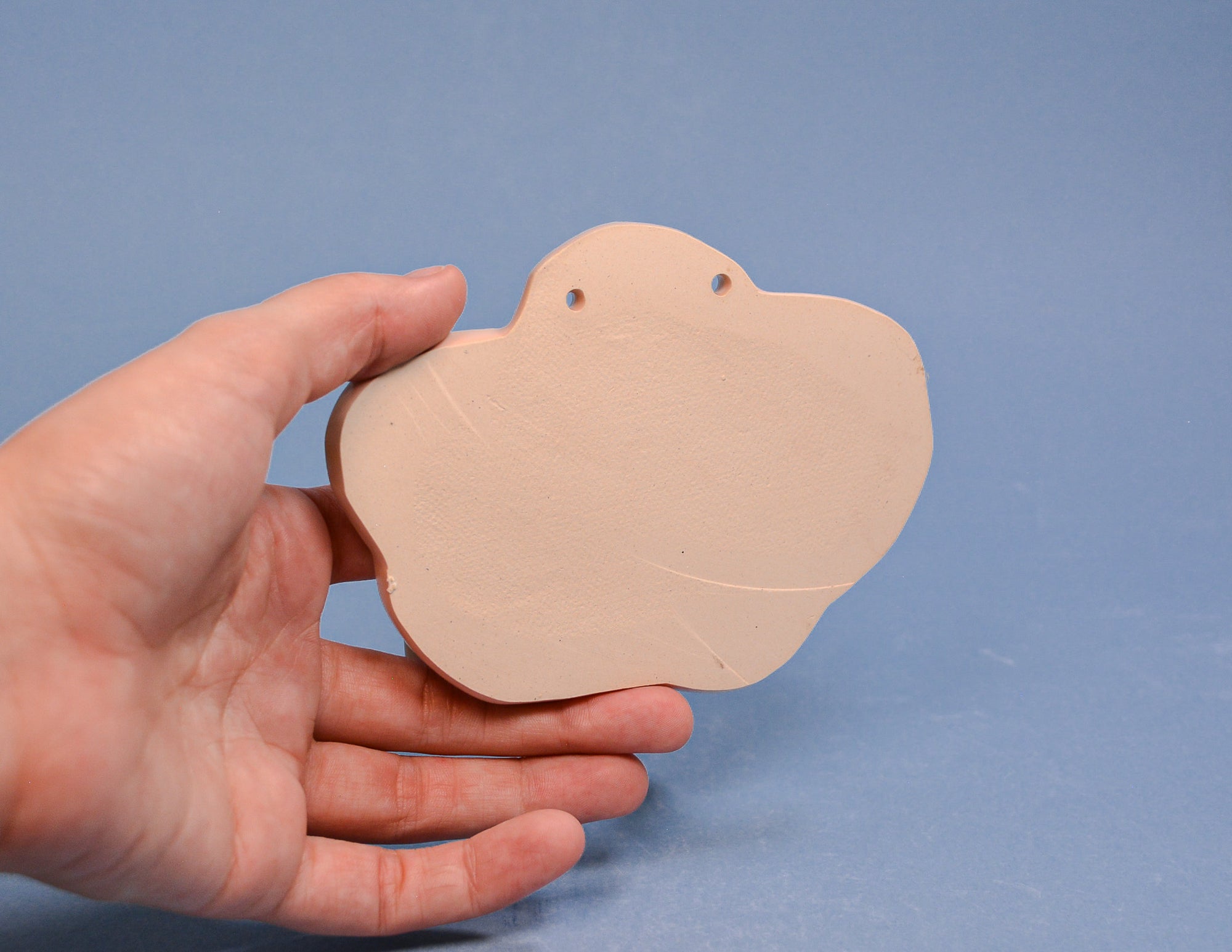 Peach Daisy Wall Hook