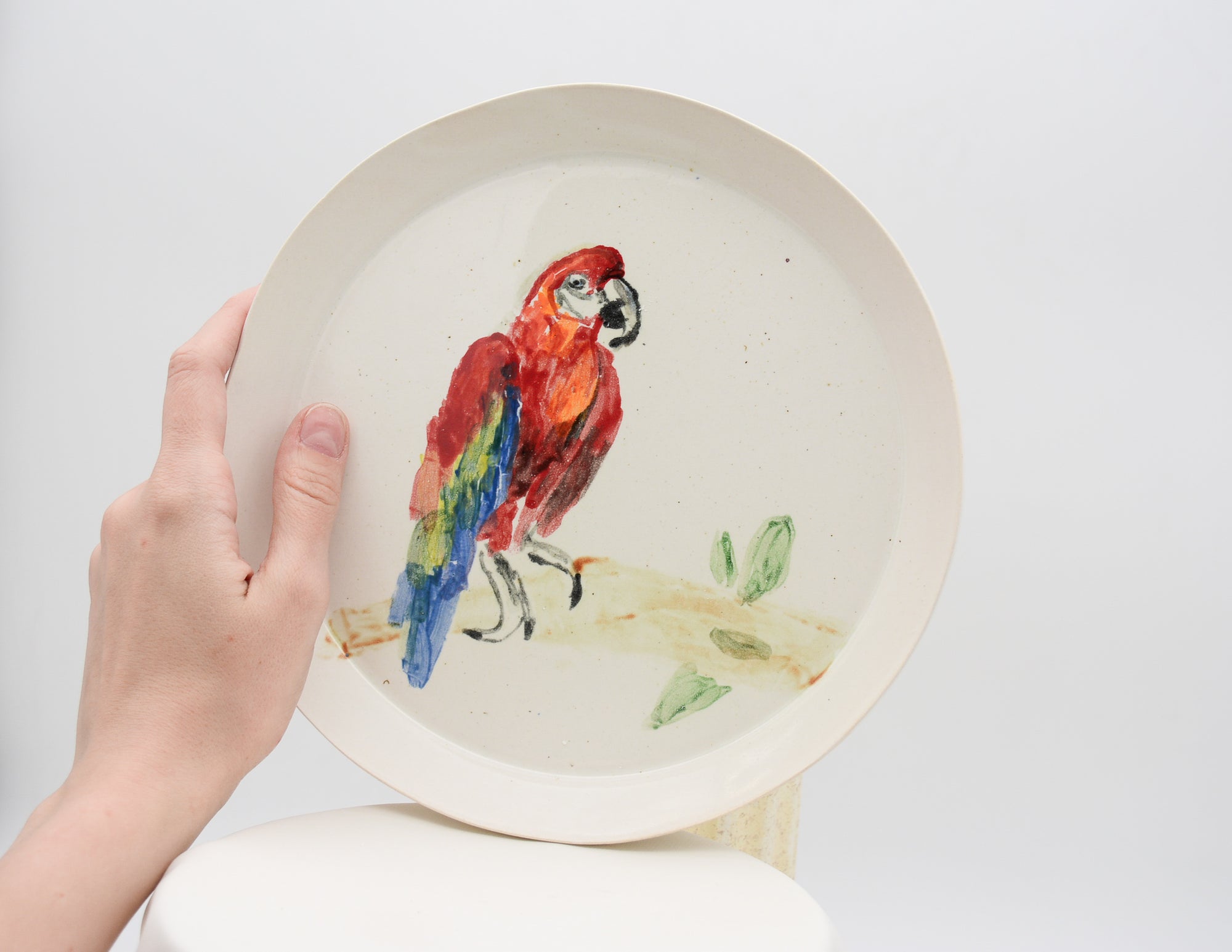 Parrot Plate